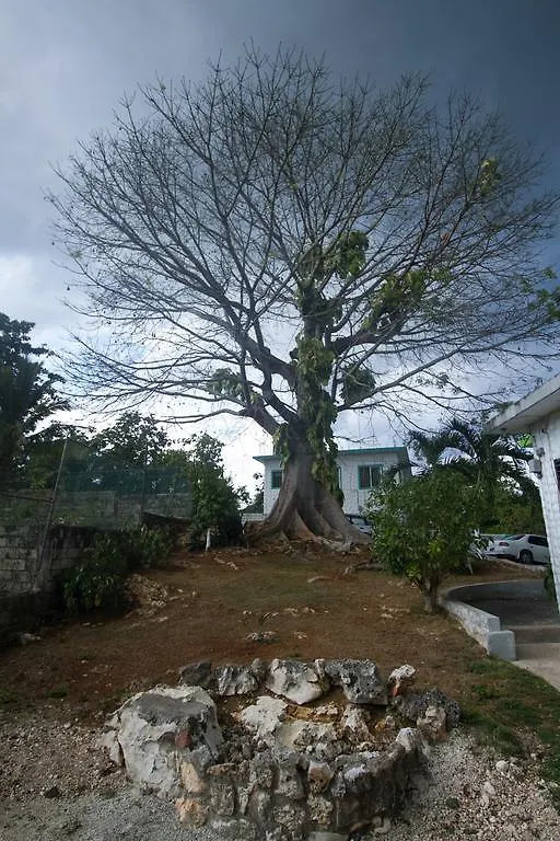 Willa Rocky Top Retreat Negril